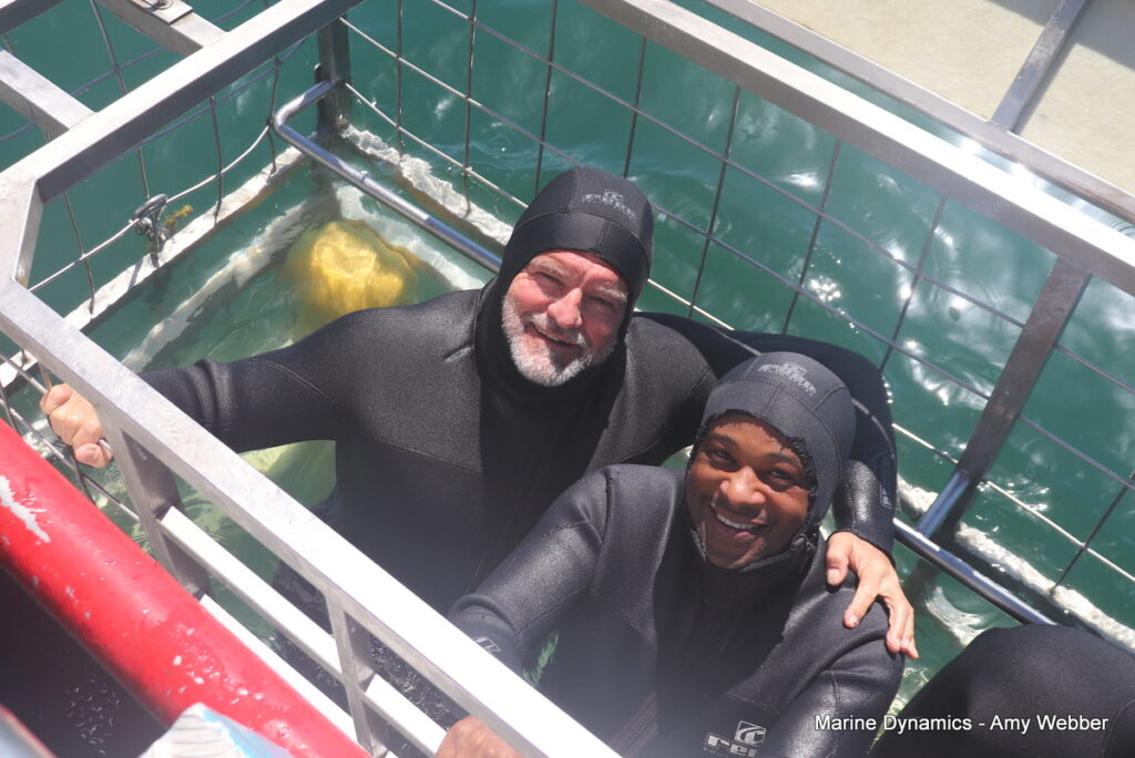 Shark cage diving, Gansbaai, South Africa