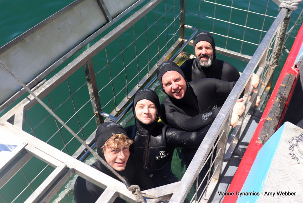 Shark cage diving, Gansbaai, South Africa