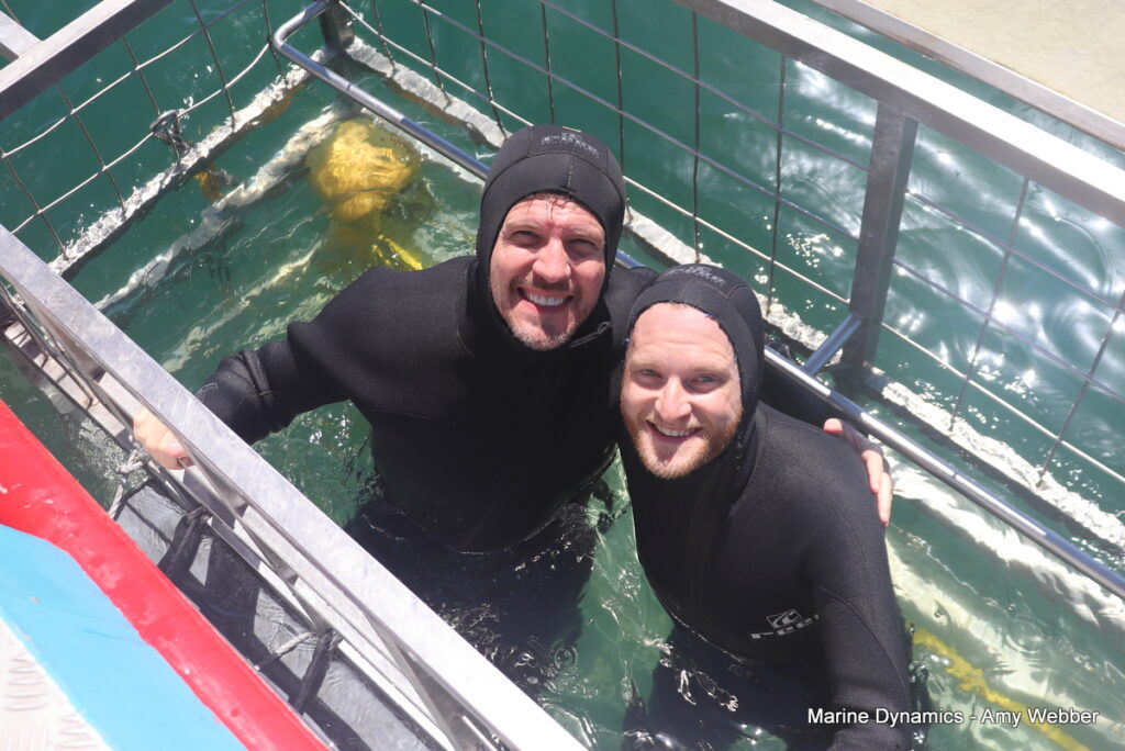 Shark cage diving, Gansbaai, South Africa