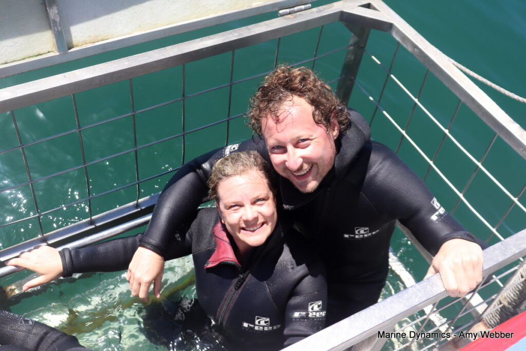 Shark cage diving, Gansbaai, South Africa