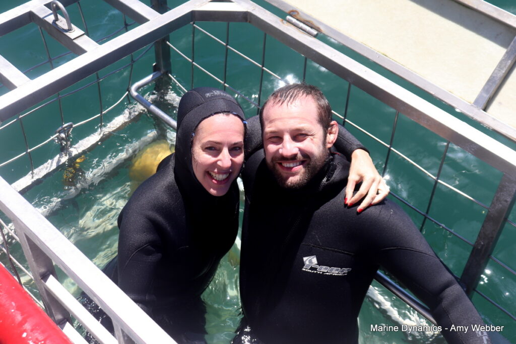 Shark cage diving, Gansbaai, South Africa