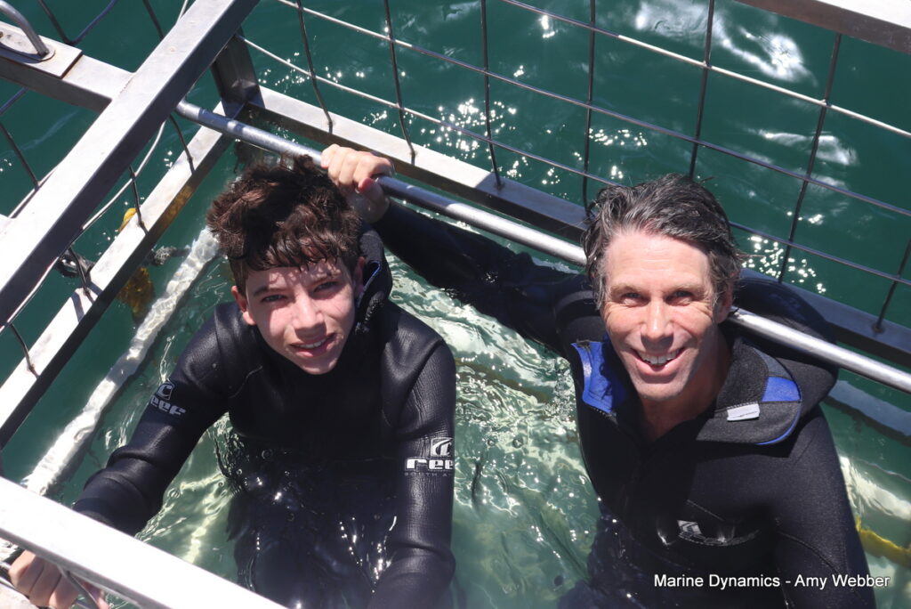 Shark cage diving, Gansbaai, South Africa