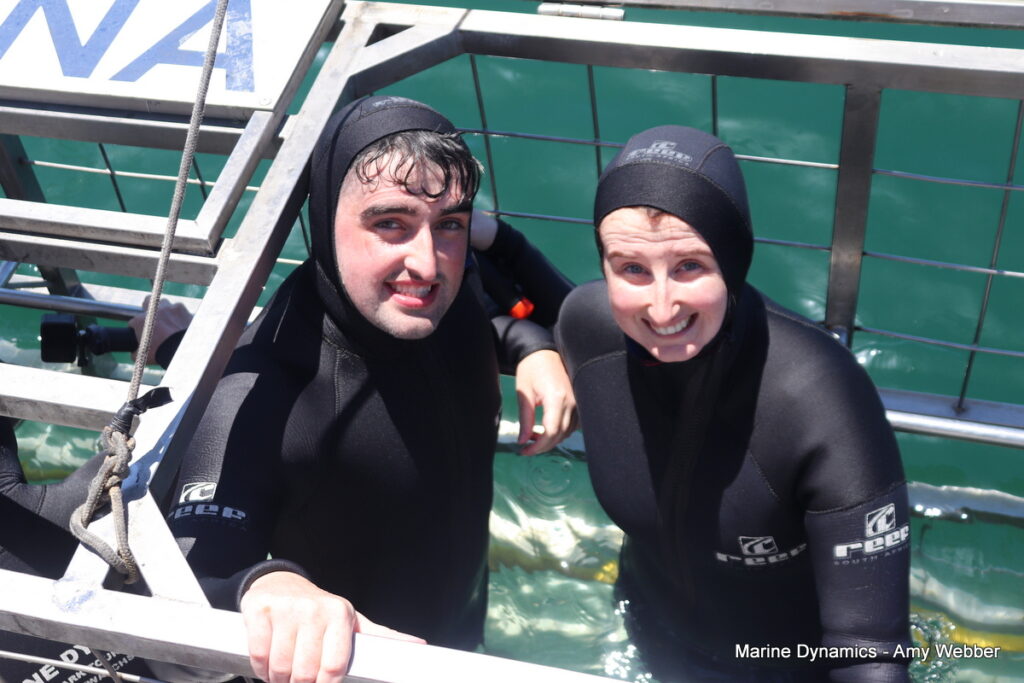 Shark cage diving, Gansbaai, South Africa