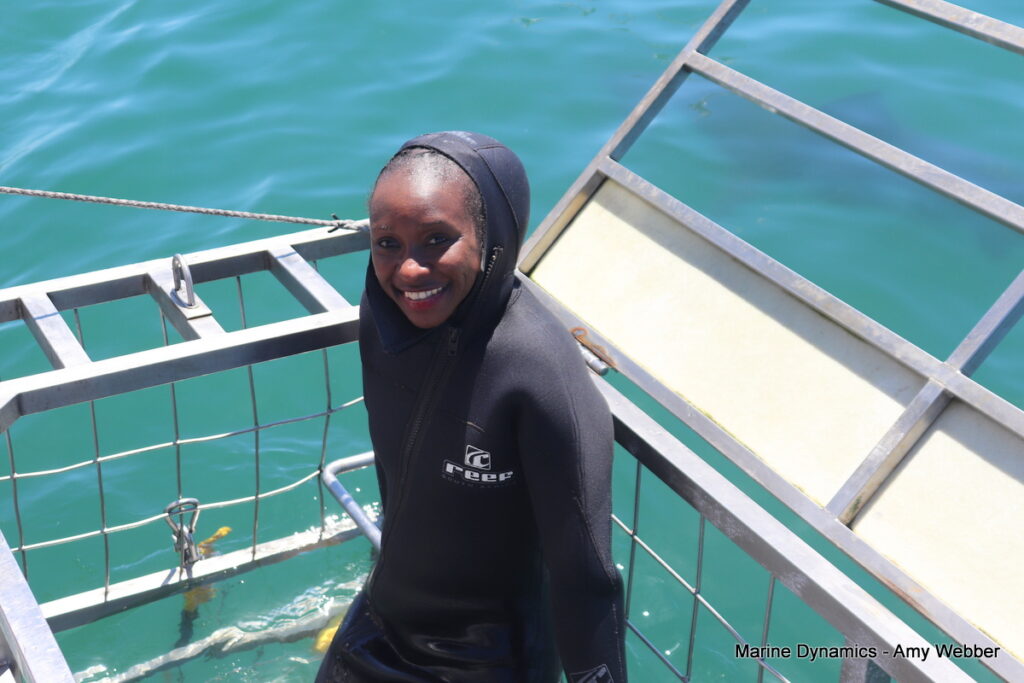 Shark cage diving, Gansbaai, South Africa