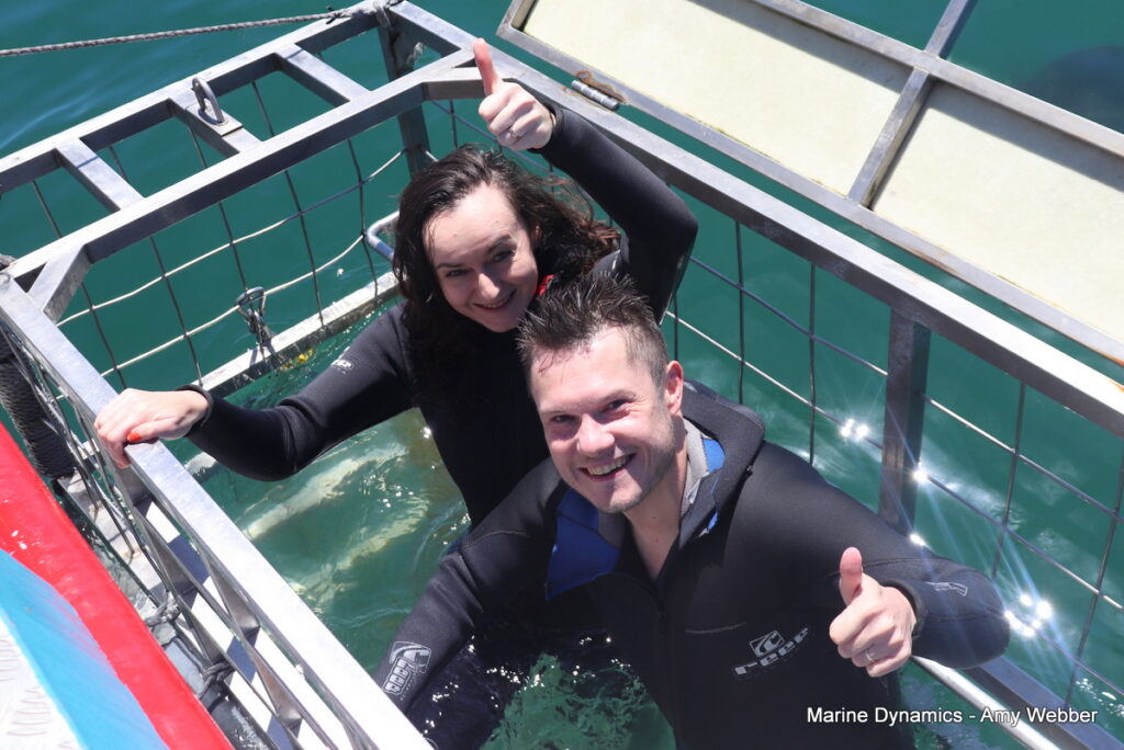 Shark cage diving, Gansbaai, South Africa
