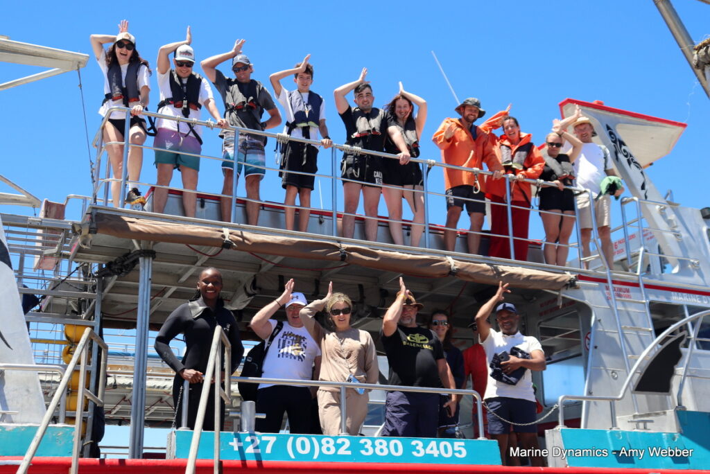 Shark cage diving, Gansbaai, South Africa