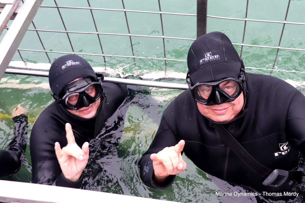 Shark cage diving, South Africa, Gansbaai