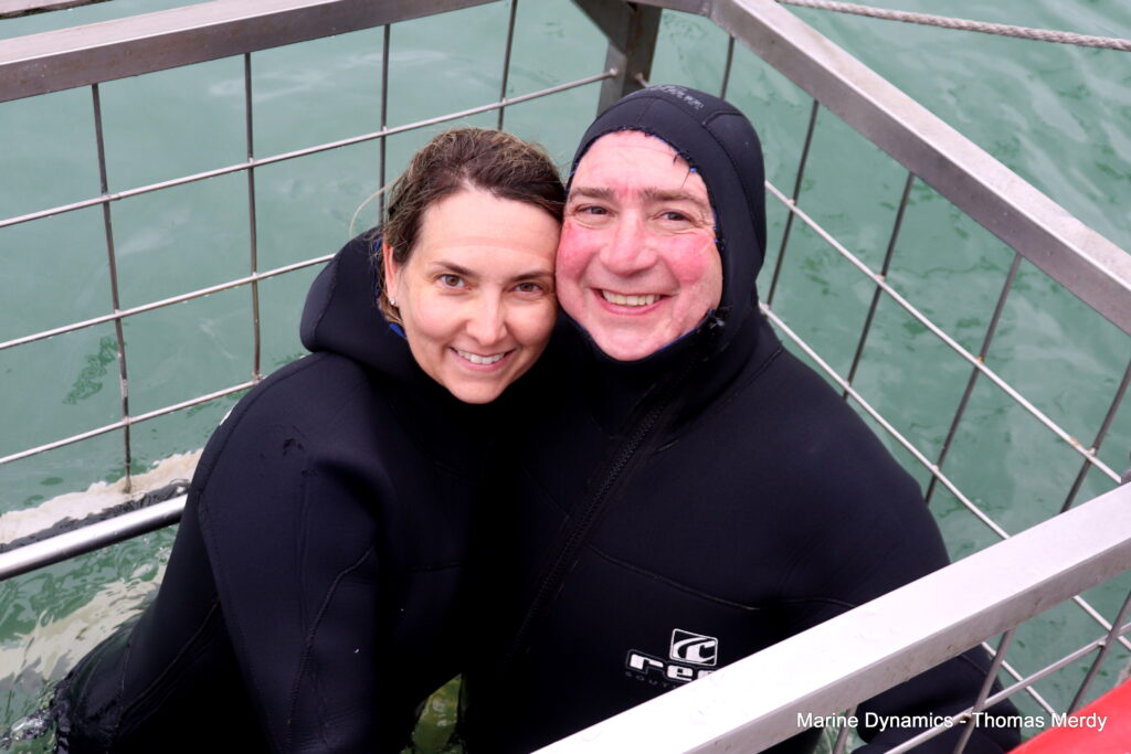 Shark cage diving, South Africa, Gansbaai