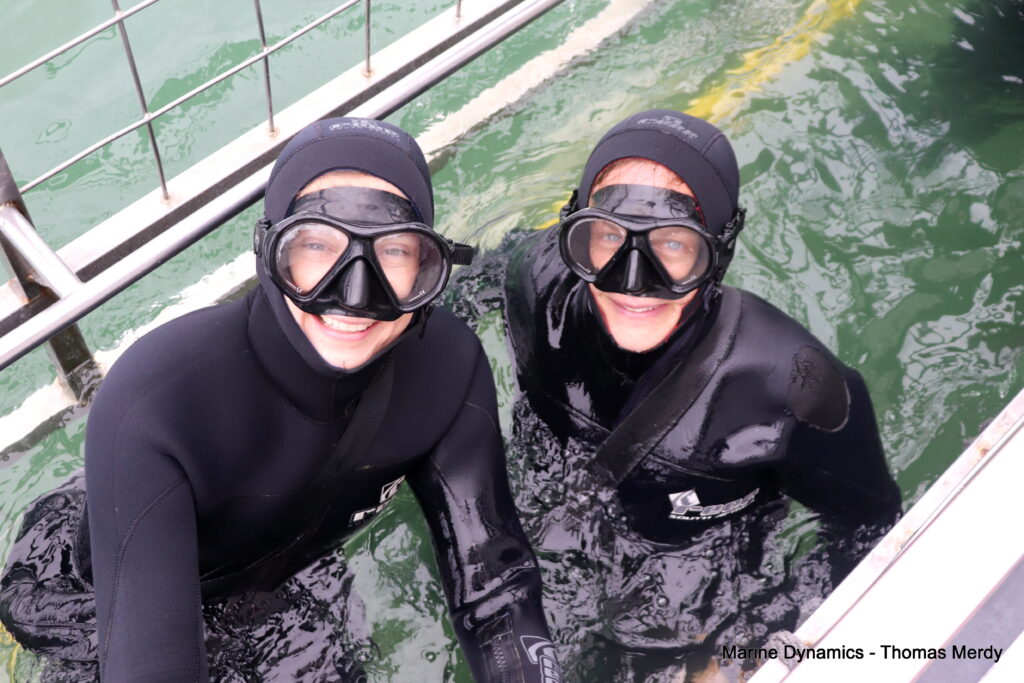 Shark cage diving, South Africa, Gansbaai