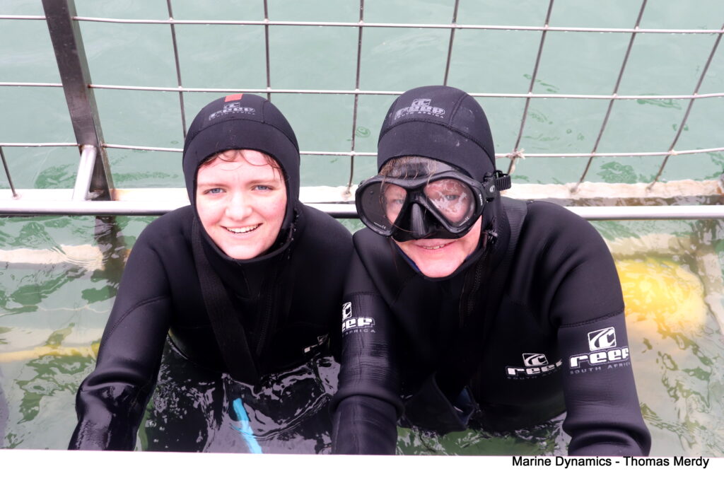Shark cage diving, South Africa, Gansbaai