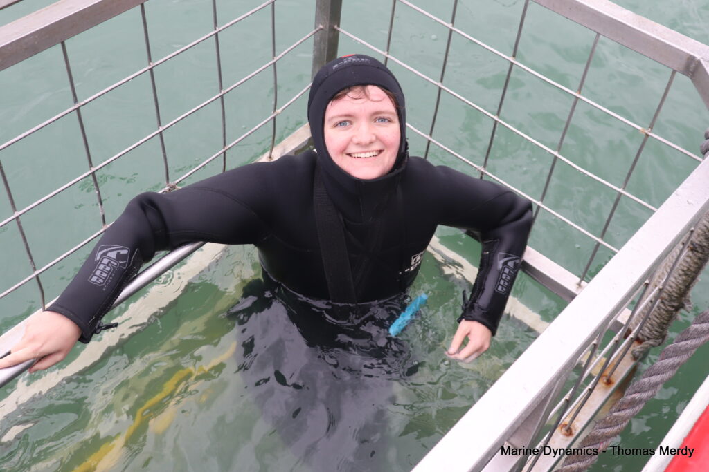 Shark cage diving, South Africa, Gansbaai