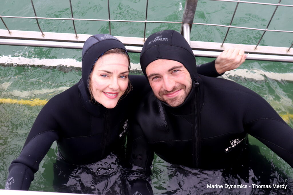 Shark cage diving, South Africa, Gansbaai