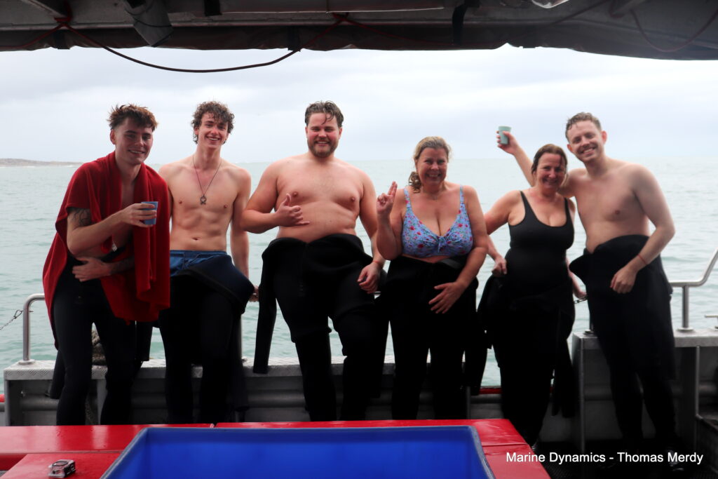 Shark cage diving, South Africa, Gansbaai