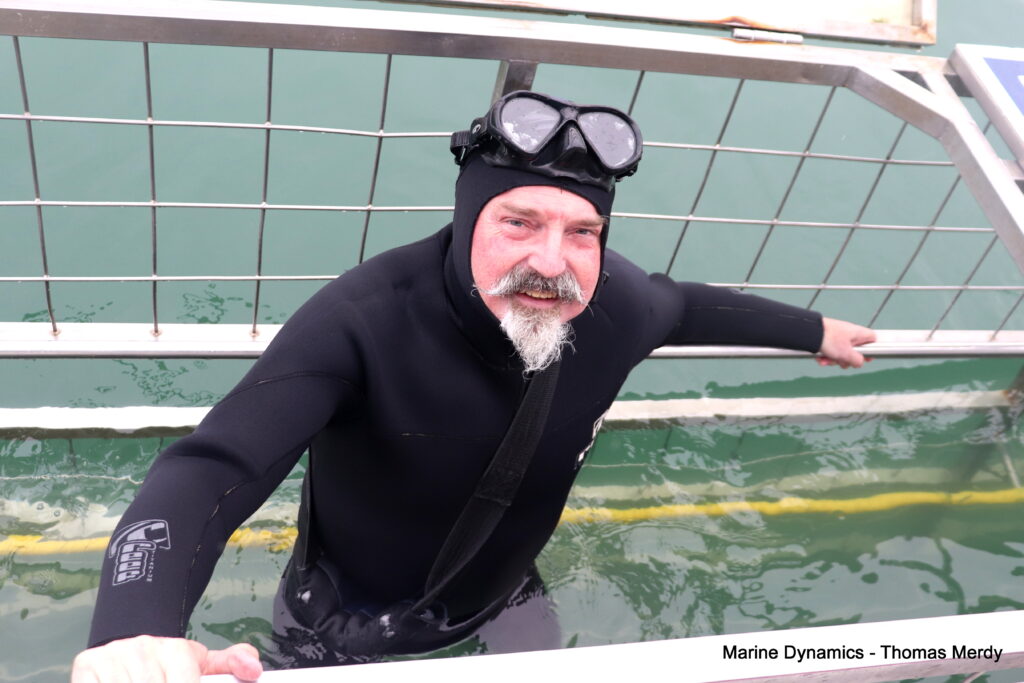 Shark cage diving, South Africa, Gansbaai