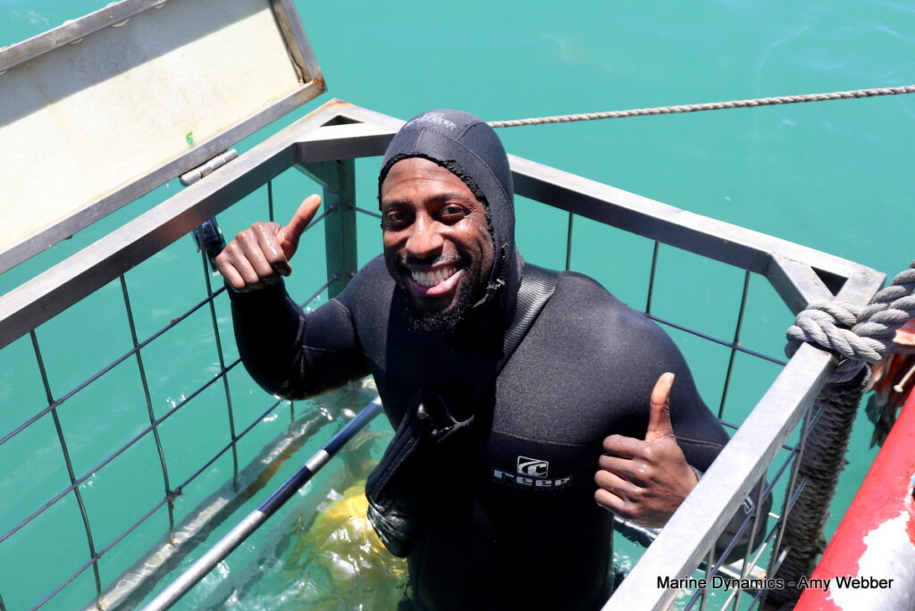 Shark cage diving, South Africa, Gansbaai
