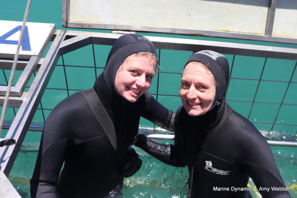 Shark cage diving, South Africa, Gansbaai