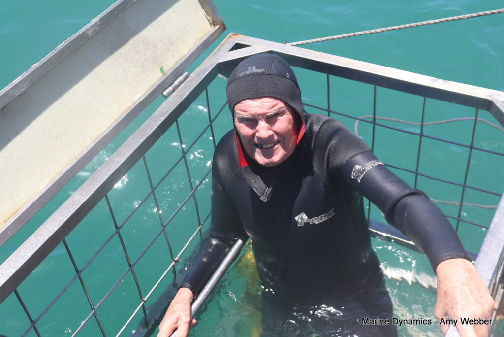 Shark cage diving, South Africa, Gansbaai