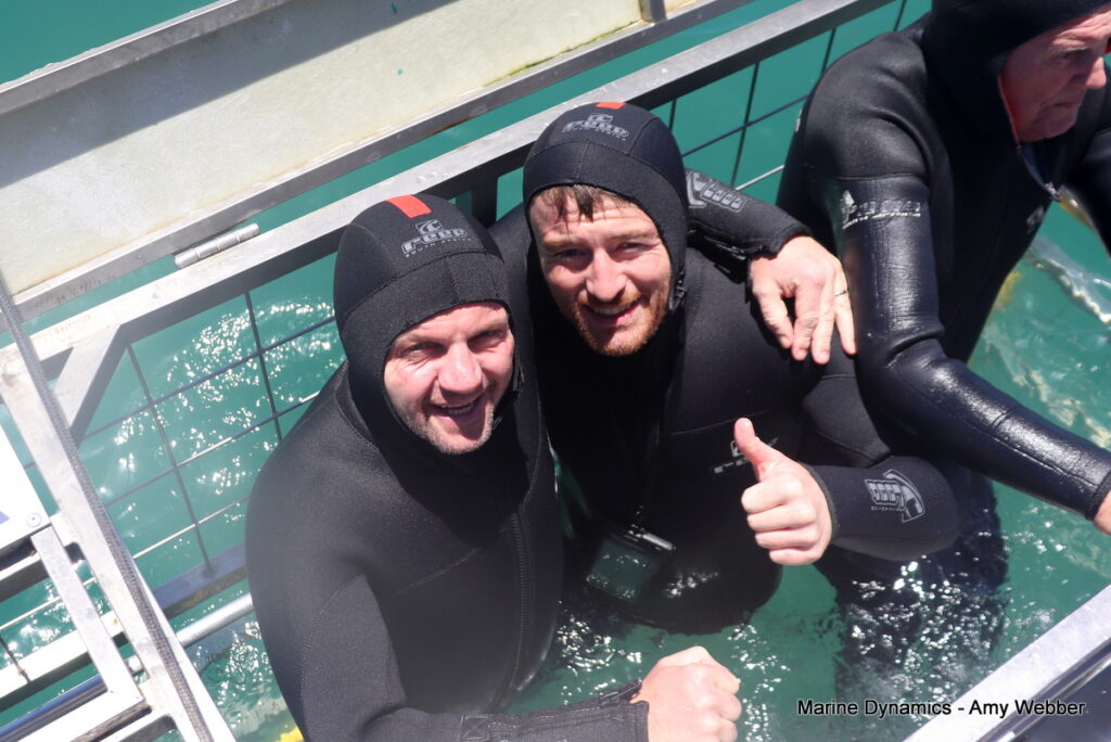 Shark cage diving, South Africa, Gansbaai