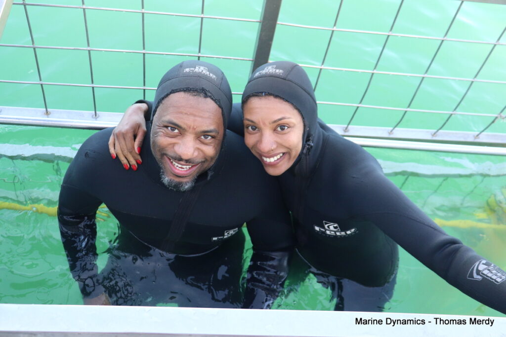 Shark cage diving, South Africa, Gansbaai