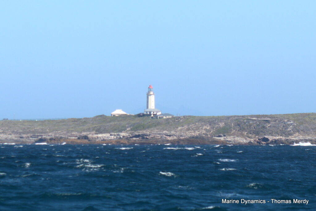 Shark cage diving, South Africa, Gansbaai