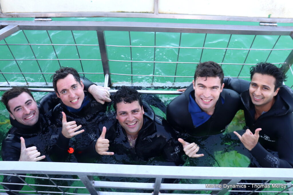 Shark cage diving, South Africa, Gansbaai