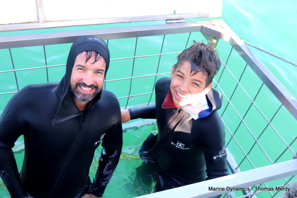Shark cage diving, South Africa, Gansbaai
