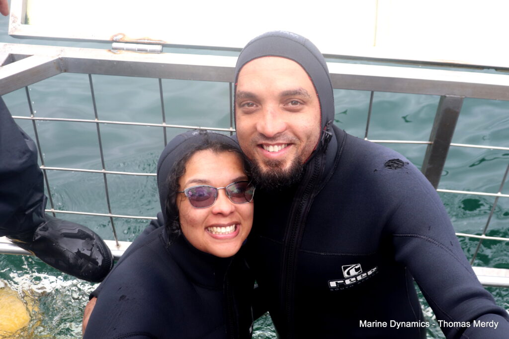 Shark cage diving, South Africa, Gansbaai