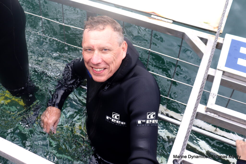 Shark cage diving, South Africa, Gansbaai