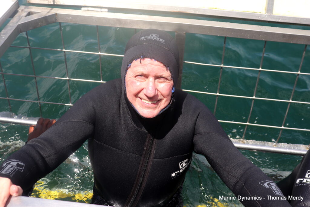 Shark cage diving, South Africa, Gansbaai