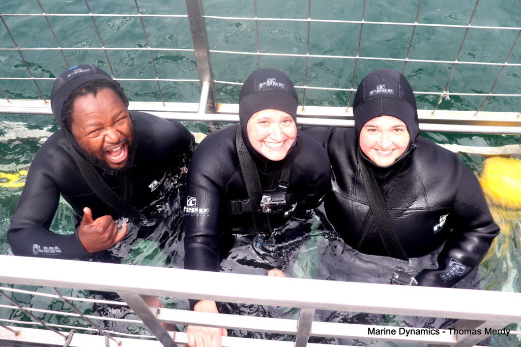 Shark cage diving, South Africa, Gansbaai