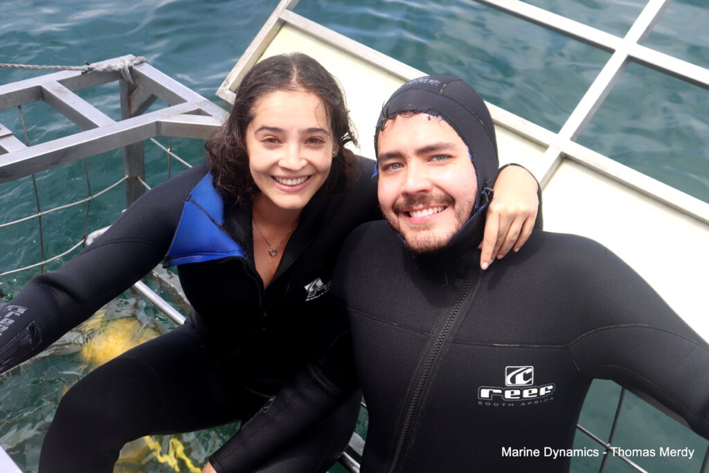 Shark cage diving, South Africa, Gansbaai