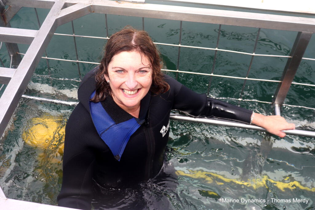 Shark cage diving, South Africa, Gansbaai
