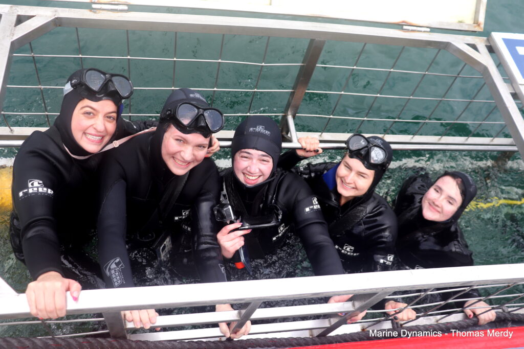 Shark cage diving, South Africa, Gansbaai