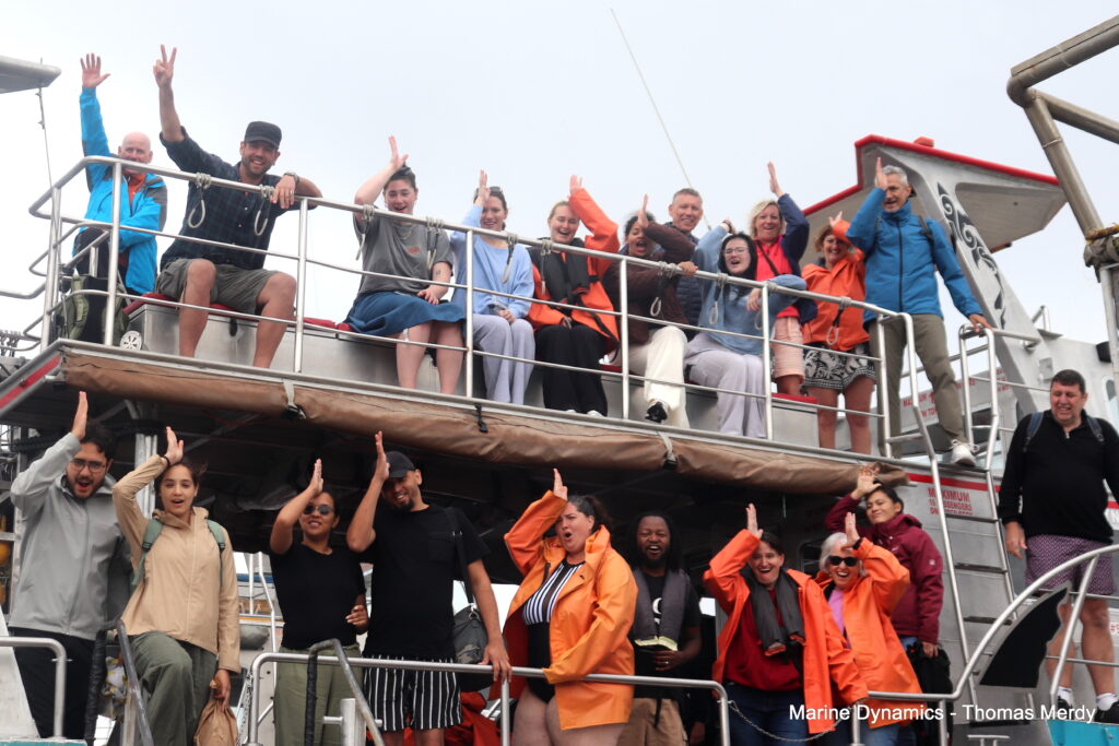 Shark cage diving, South Africa, Gansbaai
