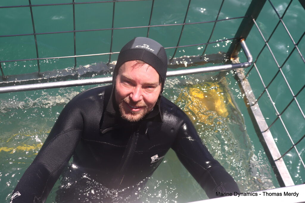 Shark cage diving, South Africa, Gansbaai