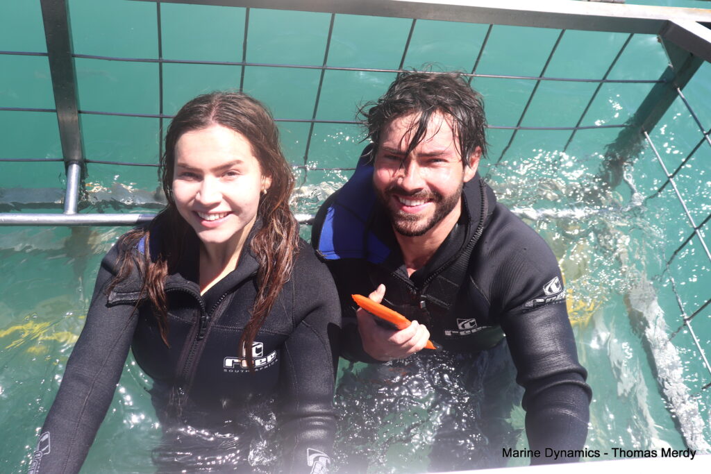 Shark cage diving, South Africa, Gansbaai