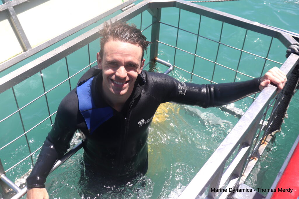 Shark cage diving, South Africa, Gansbaai