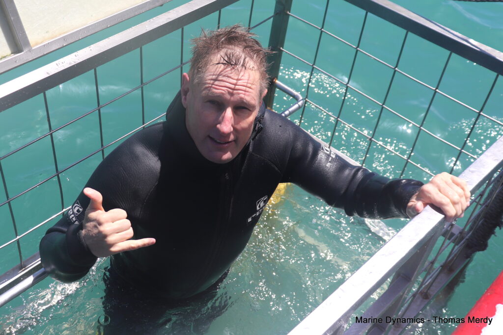 Shark cage diving, South Africa, Gansbaai