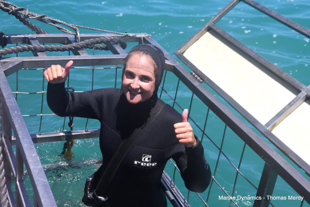 Shark cage diving, South Africa, Gansbaai