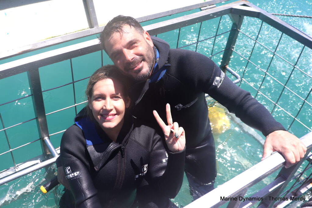 Shark cage diving, South Africa, Gansbaai