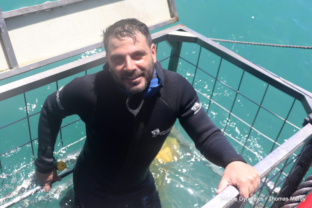 Shark cage diving, South Africa, Gansbaai