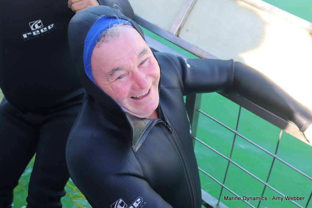 Shark cage diving, South Africa, Gansbaai