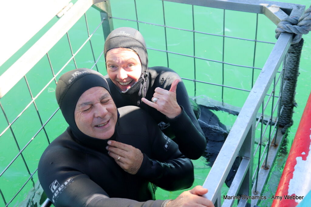 Shark cage diving, South Africa, Gansbaai