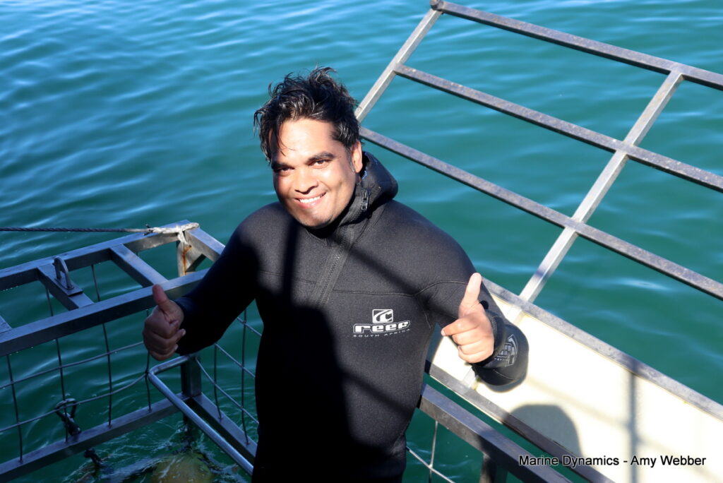 Shark cage diving, South Africa, Gansbaai
