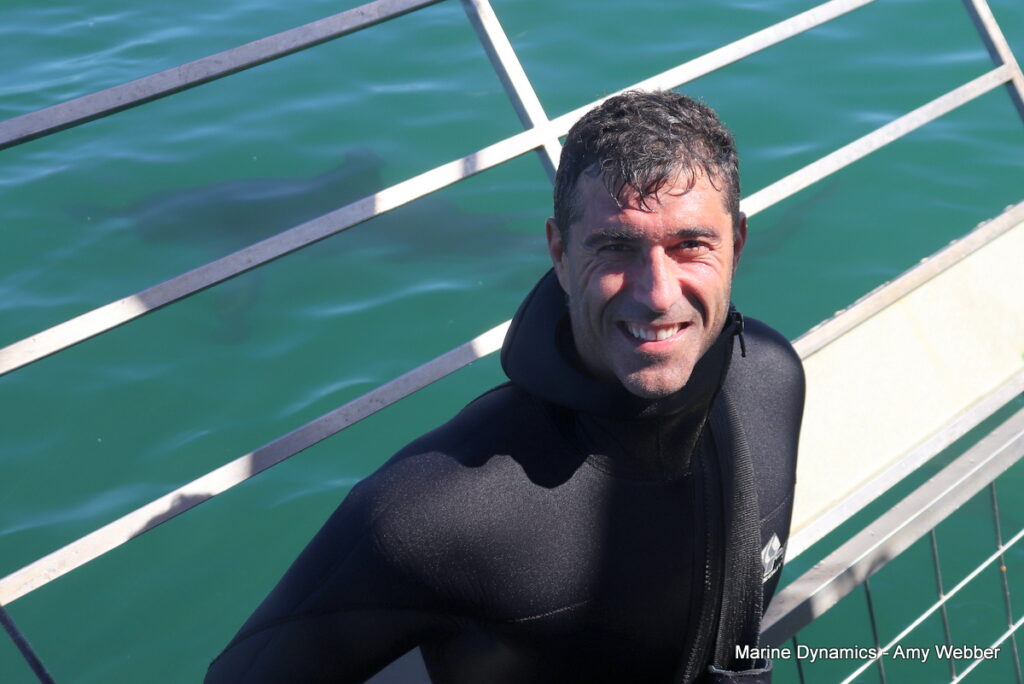 Shark cage diving, South Africa, Gansbaai