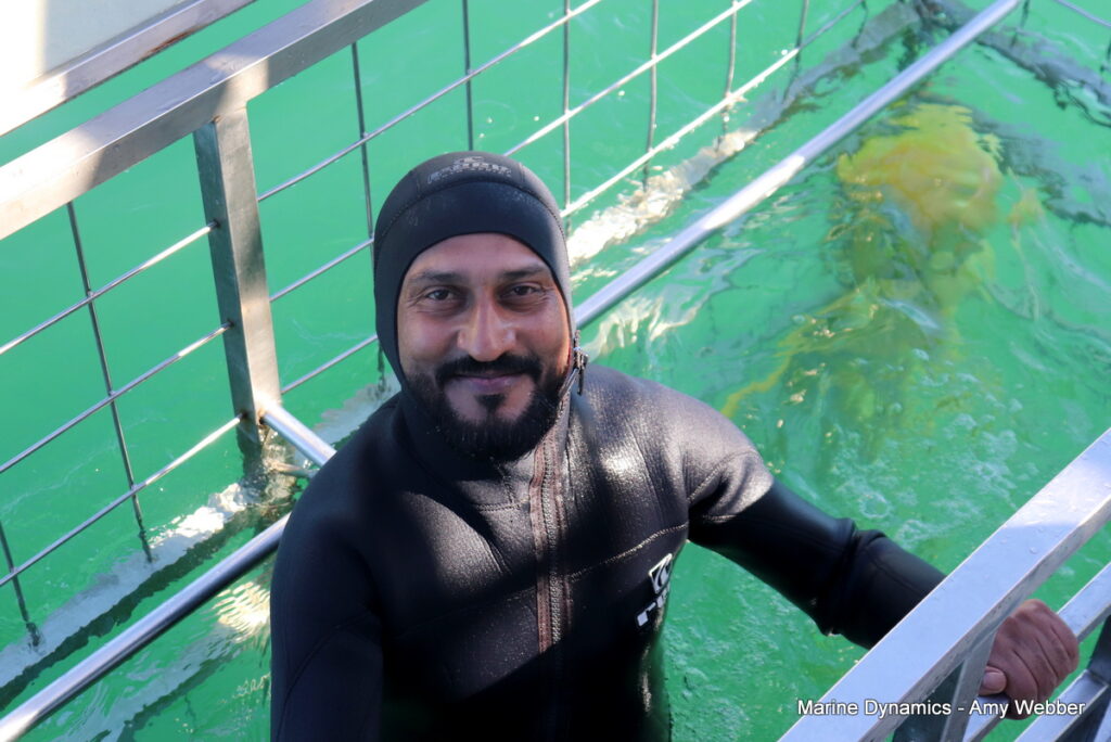 Shark cage diving, South Africa, Gansbaai