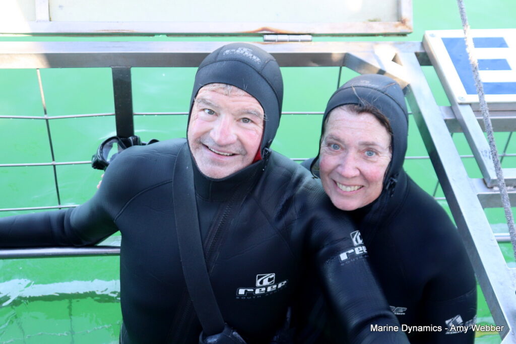 Shark cage diving, South Africa, Gansbaai
