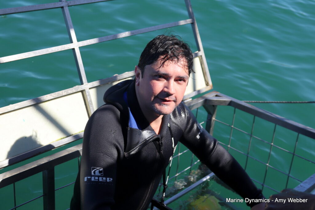 Shark cage diving, South Africa, Gansbaai