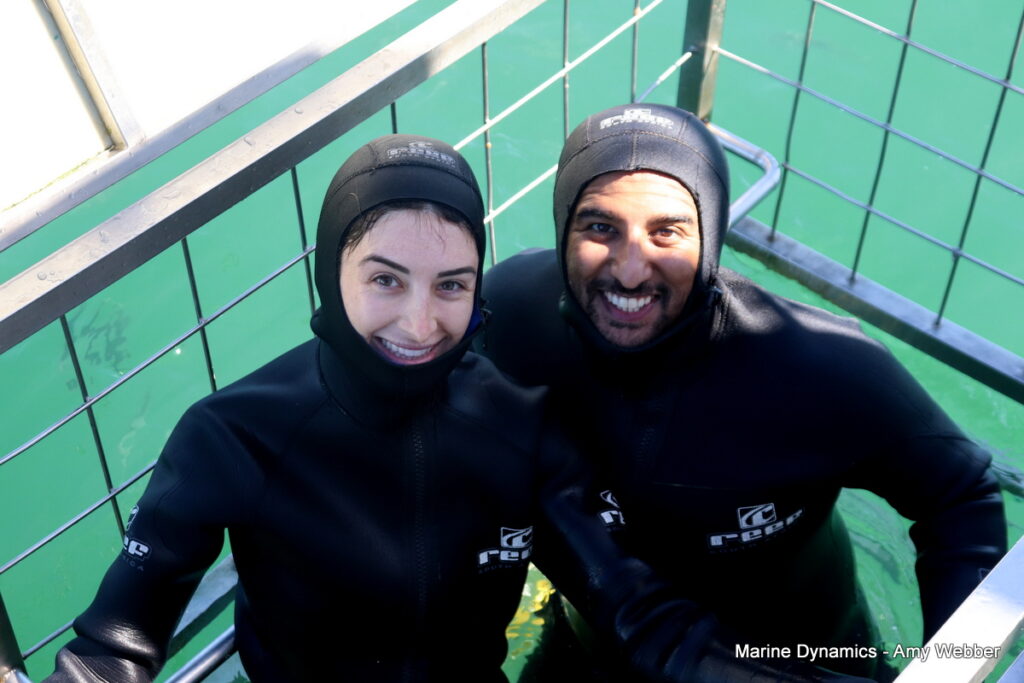Shark cage diving, South Africa, Gansbaai