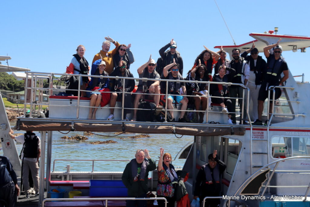 Shark cage diving, South Africa, Gansbaai